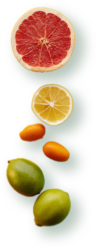 fruits